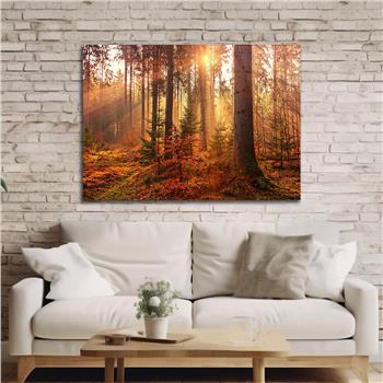 Yatay DoğaTemalı Cam Tablo 388