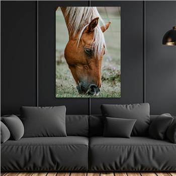 لوح زجاجي الطبيعة