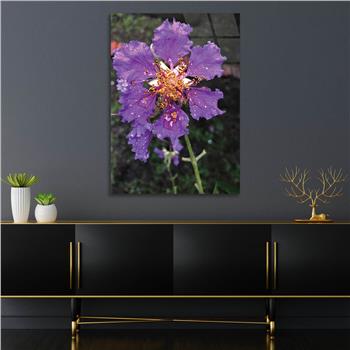 لوح زجاجي الطبيعة