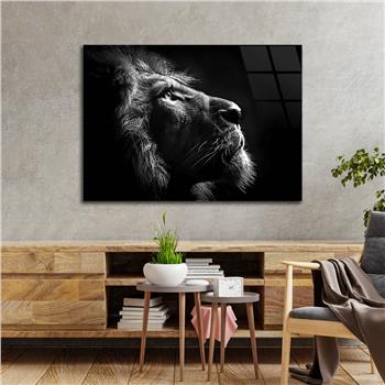 Yatay Doğa Temalı Cam Tablo 446