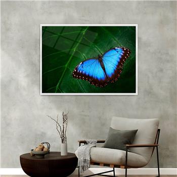 Aluminium Omlijste Natuur Thema Geharde Glasschilderij 122