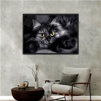 bedrucktes Glas mit Aluminiumrahmen und Kunst Themen 