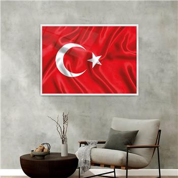 Aluminum-Framed National-Themed Tempered Glass Wall Art 079