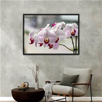 Aluminium Omlijste Natuur Thema Geharde Glasschilderij 058