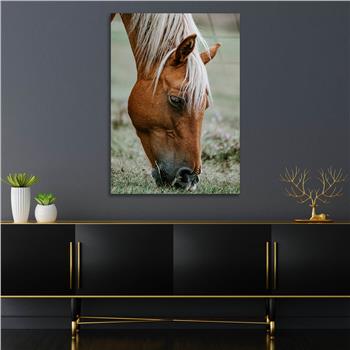 لوح زجاجي الطبيعة