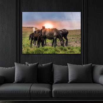 Tempered Glasss Wall Arts Art-Themed