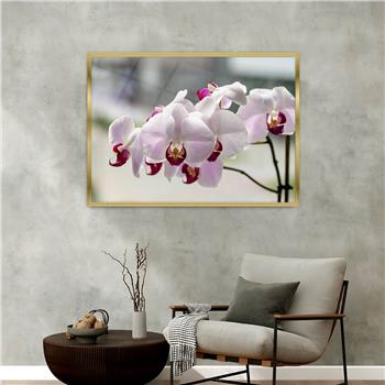 Aluminium Omlijste Natuur Thema Geharde Glasschilderij 058