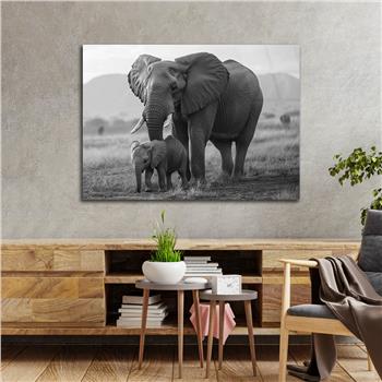 Yatay Doğa Temalı Cam Tablo 559