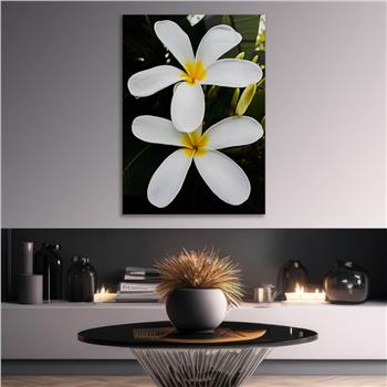 لوح زجاجي الطبيعة