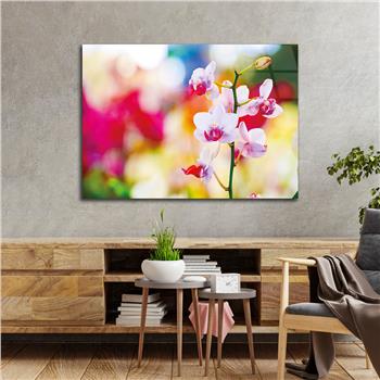 Thema Natur auf bedrucktem Glas