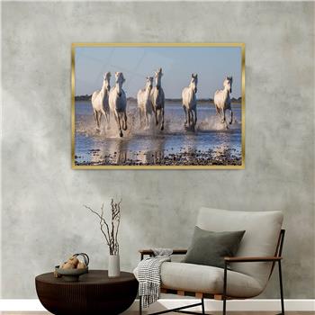 Alüminyum Çerçeveli Doğa Temalı Cam Tablo 003