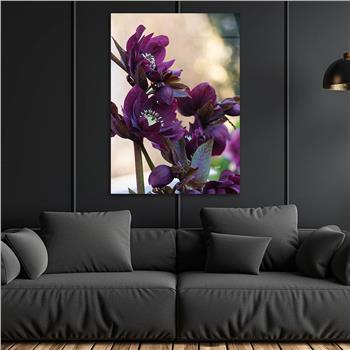 Thema Natur auf bedrucktem Glas