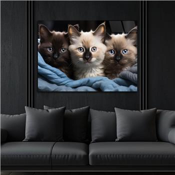 Yatay Doğa Temalı Cam Tablo 563