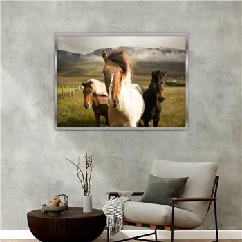 Aluminium Omlijste Natuur Thema Geharde Glasschilderij 143