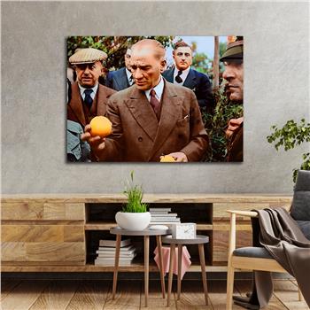 Yatay VatanTemalı Cam Tablo 102