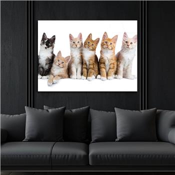 Thema Natur auf bedrucktem Glas