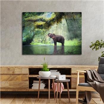 DOĞA TEMALI TABLOLAR