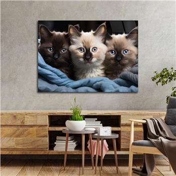 Yatay Doğa Temalı Cam Tablo 563