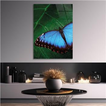 لوح زجاجي الطبيعة