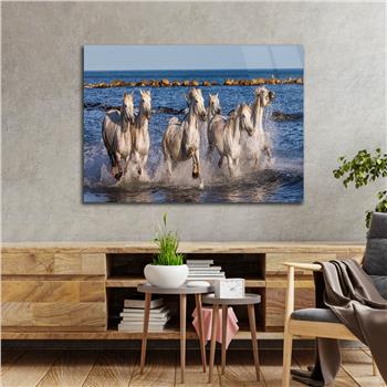 Yatay Doğa Temalı Cam Tablo264