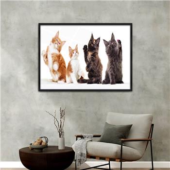 Aluminium Omlijste Natuur Thema Geharde Glasschilderij 125