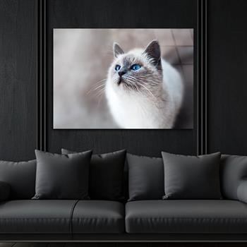 Kunst Thema auf bedrucktem Glas