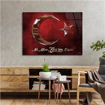 Yatay VatanTemalı Cam Tablo 123