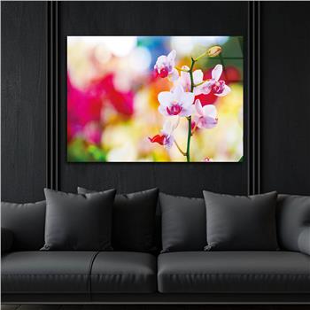 Thema Natur auf bedrucktem Glas