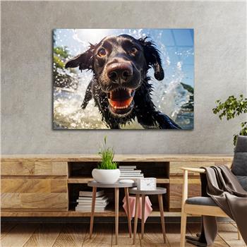 Yatay Doğa Temalı Cam Tablo 567