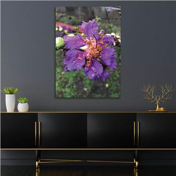 لوح زجاجي الطبيعة