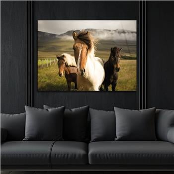 Thema Natur auf bedrucktem Glas