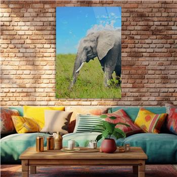 لوح زجاجي الطبيعة