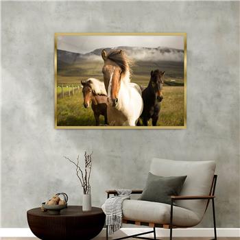 Aluminium Omlijste Natuur Thema Geharde Glasschilderij 143