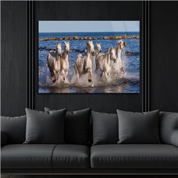 Yatay Doğa Temalı Cam Tablo264