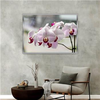 Aluminium Omlijste Natuur Thema Geharde Glasschilderij 058