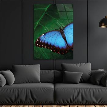 لوح زجاجي الطبيعة