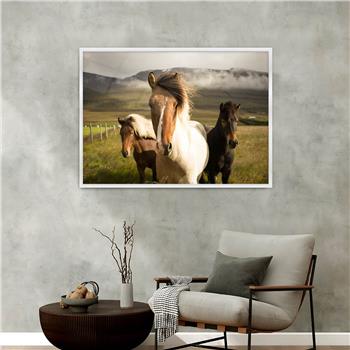 Aluminium Omlijste Natuur Thema Geharde Glasschilderij 143