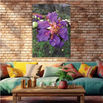 لوح زجاجي الطبيعة