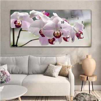 Yatay Saatli Yandan Sanat ve Doğa Temalı Cam Tablo 202