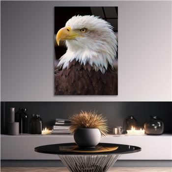 لوح زجاجي الطبيعة