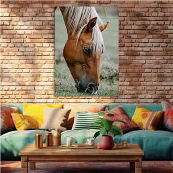 لوح زجاجي الطبيعة