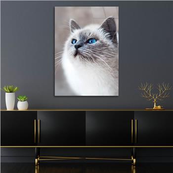 Kunst Thema auf bedrucktem Glas