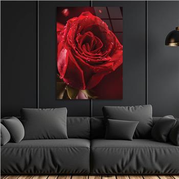 KIRMIZI  GÜL GÖRSELLİ CAM TABLO