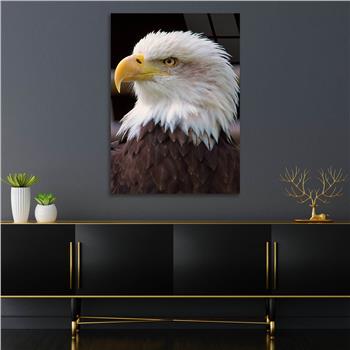 لوح زجاجي الطبيعة