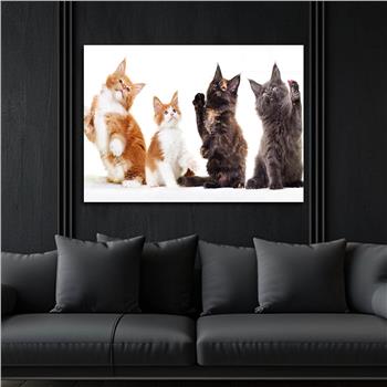 DOĞA TEMALI TABLOLAR