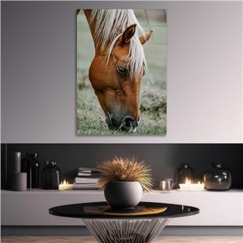 لوح زجاجي الطبيعة