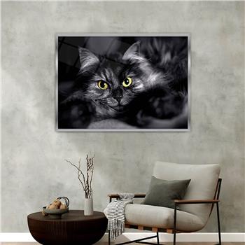 bedrucktes Glas mit Aluminiumrahmen und Kunst Themen 