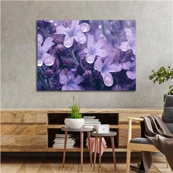 Horizontal Art-Themed Tempered Glass Wall Art 422