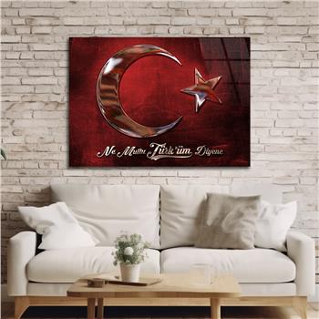 Yatay VatanTemalı Cam Tablo 123