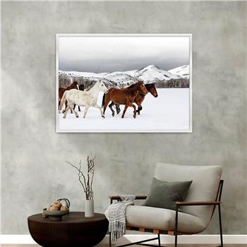 bedrucktes Glas mit Aluminiumrahmen und Kunst Themen 